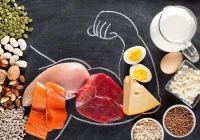 رژیم پروتئین